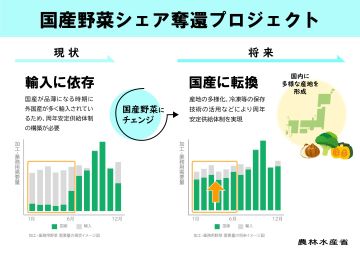 国産野菜奪還プロジェクト