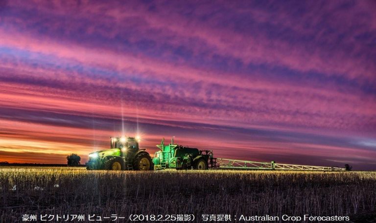 豪州の小麦