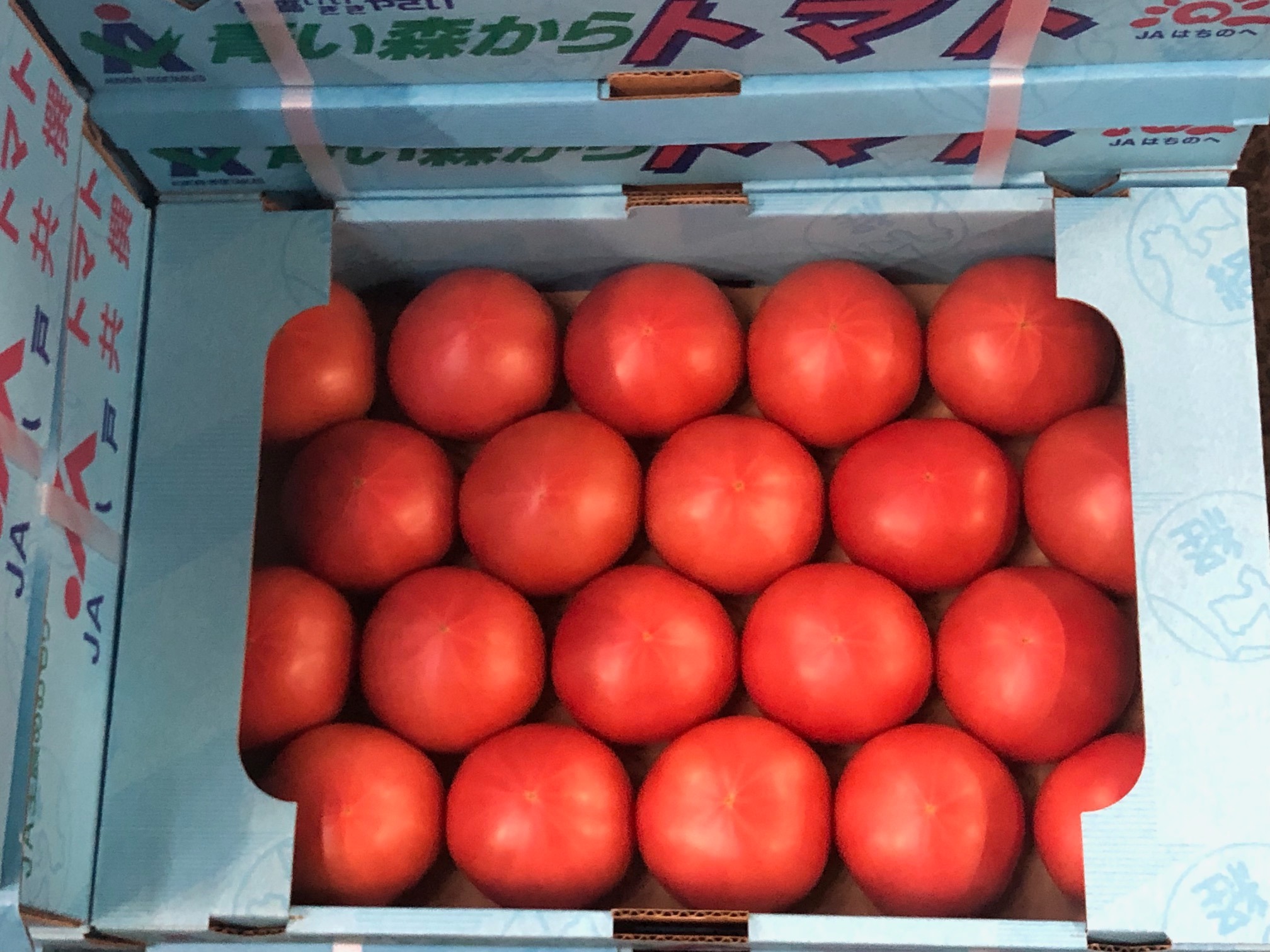 水耕トマト
