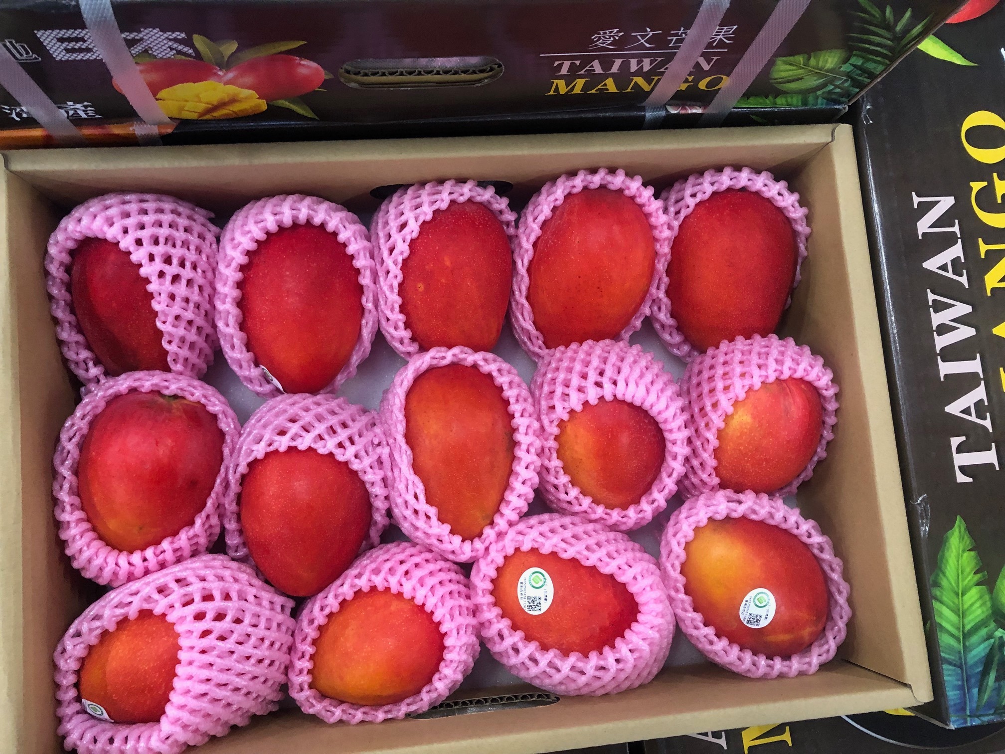 台湾産アップルマンゴー