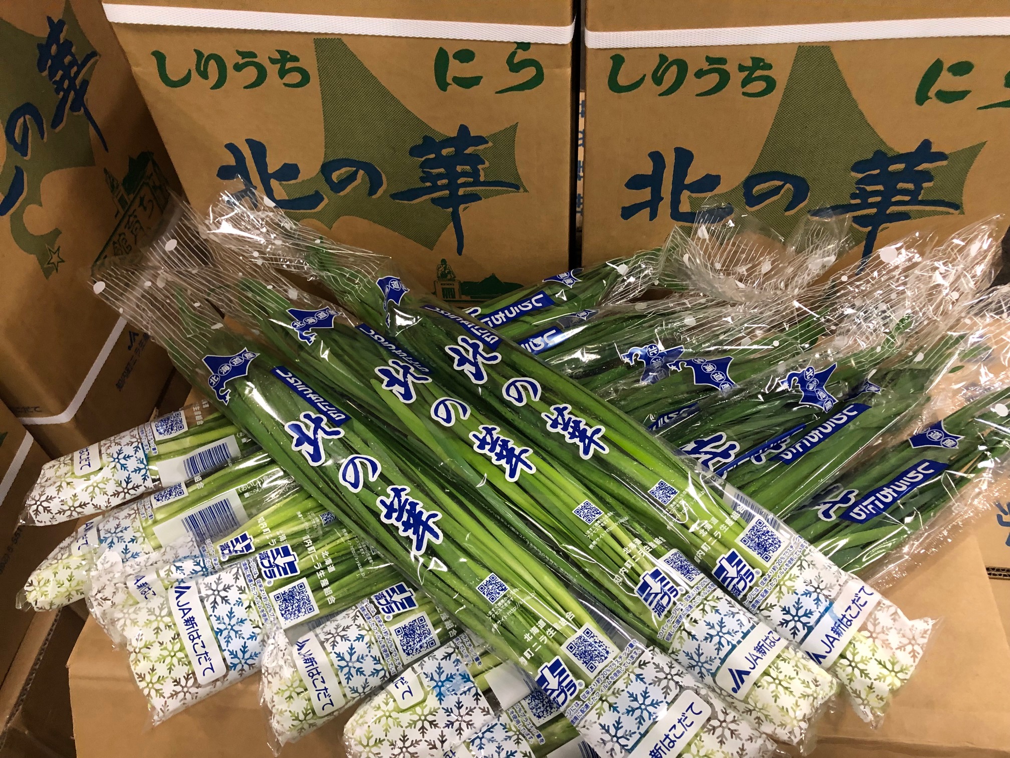 JA新はこだて・知内のニラ「北の華」